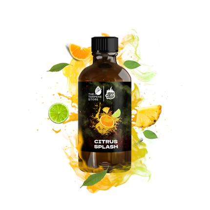 Citrus Splash