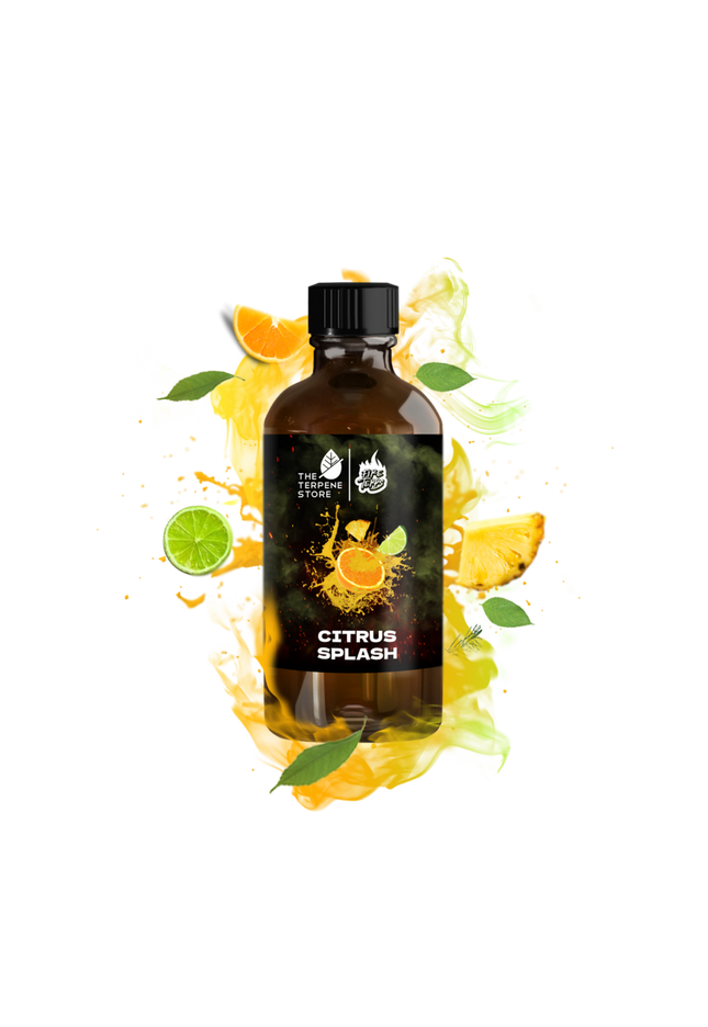 Citrus Splash