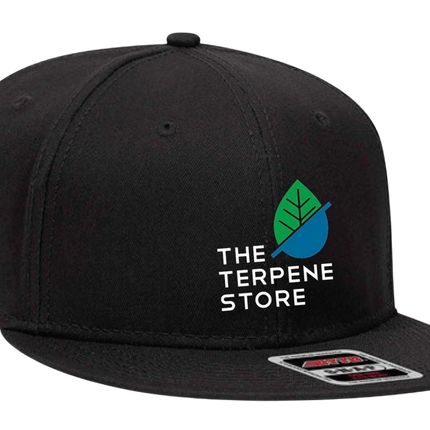 Snapback Hat