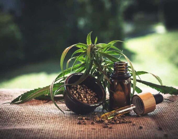 cannabis plant with a vial and dropper