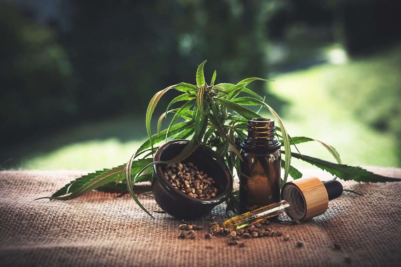 cannabis plant with a vial and dropper