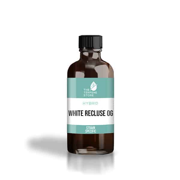 White Recluse OG