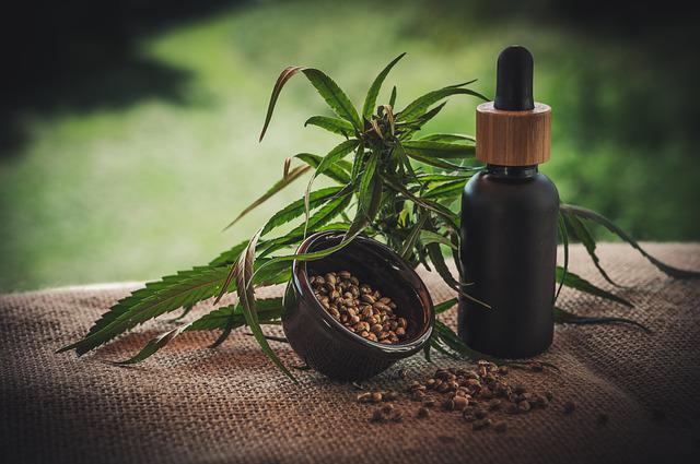 A cannabis plant, cannabis seeds, and a bottle of products derived from cannabis plants